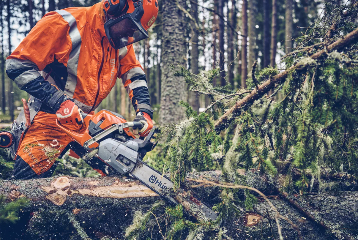 Husqvarna 562 XP® Mark II